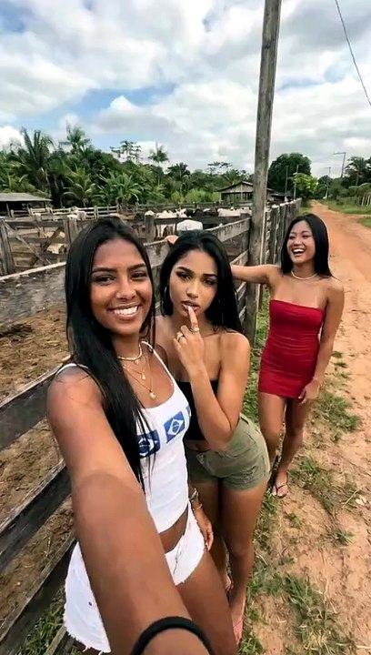 Une vache imite parfaitement une femme qui tire la langue lors d’un selfie au Brésil