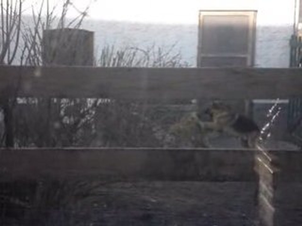 Mariage Doudoune - amée - 21 06 08 021