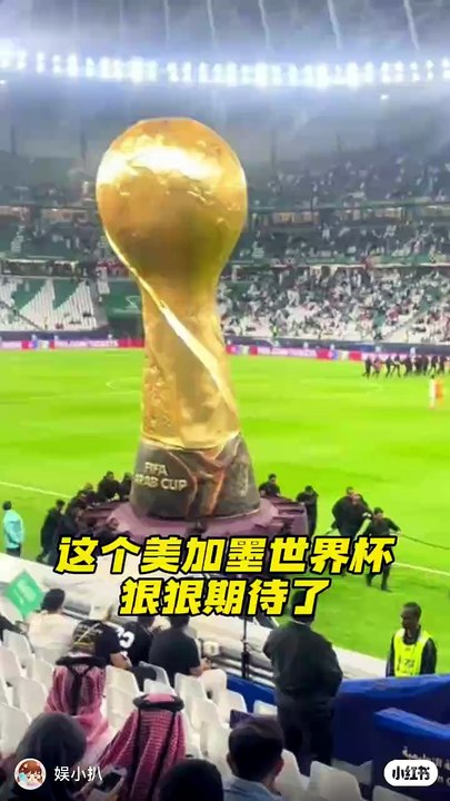 世界杯热门球员状态解析（2026最新观察）