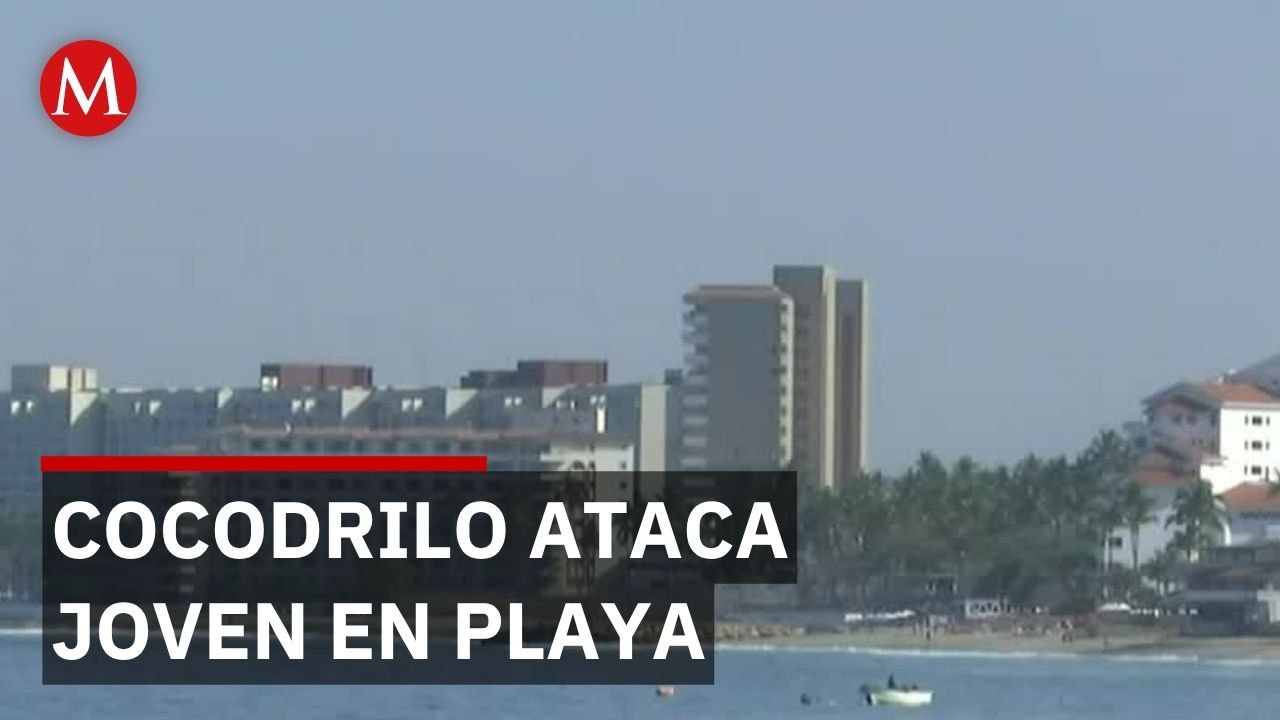 Joven desaparecido tras ser arrastrado por cocodrilo en playa de Puerto Vallarta