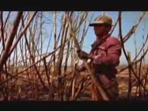 QUAUHTLEMALLAN, cinco siglos igual...