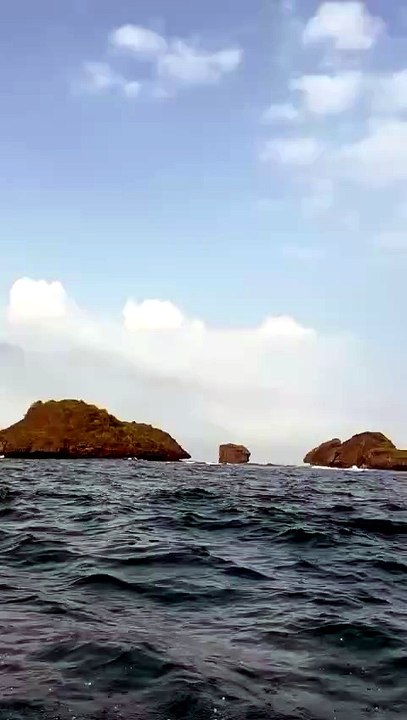 Laut