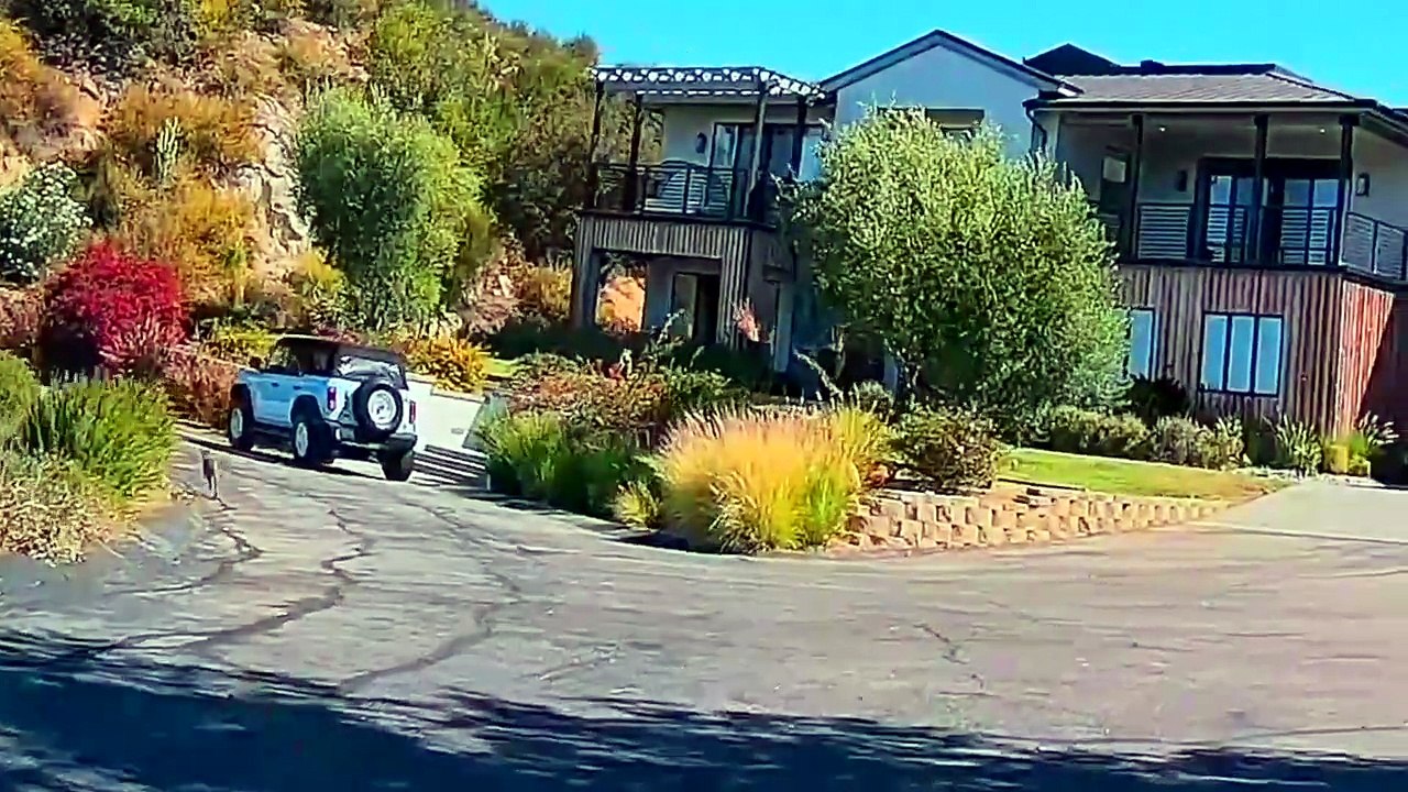 We Actually Found a MOUNTAIN LION in our Backyard!