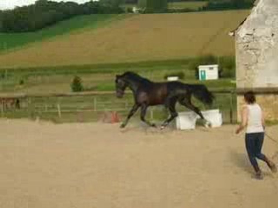 philou saut vertical 2