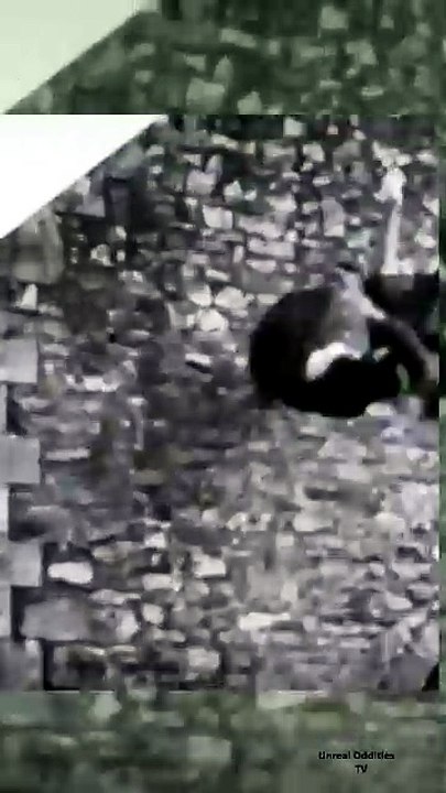 😱 She Climbed the Wall Like a Demon While Carrying a Girl! Terrifying Horror Scene 👻