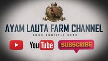 SEMUANYA BISA TERCAPAI KARENA KEJUJURAN