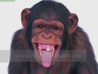 find a job, jobs wanted,toronto jobs,job search,general jobs