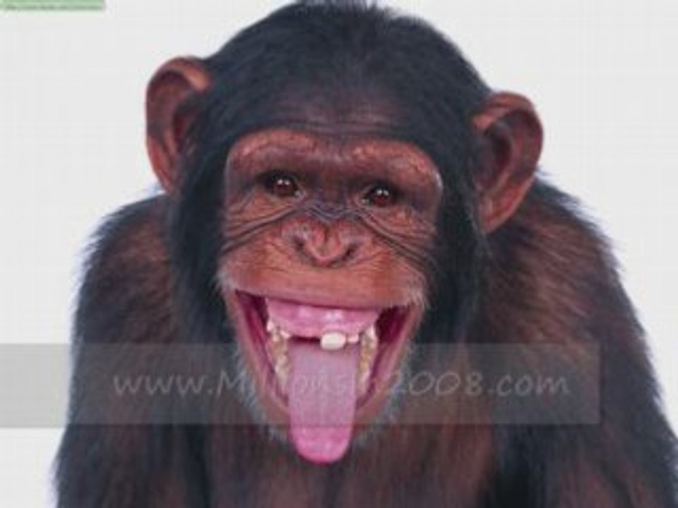 find a job, jobs wanted,toronto jobs,job search,general jobs