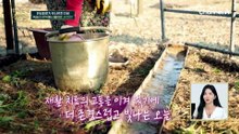 피로 해소에 도움 주는 '태반 주사'?! 중년 여성들의 선택을 받은 활력템이 되었다
