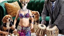 #DogDance #FunnyDogs #FacebookReels #ViralVideo #PetComedy