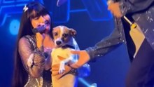 ジュリアナ・ボンジがステージで愛犬に歌う動画がファンを魅了