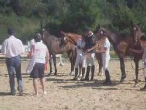 Concours Modèles et Allures - Rodez - 21 juin 2008