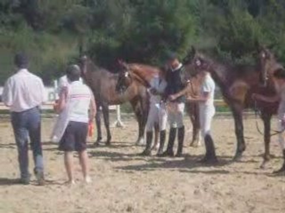 Concours Modèles et Allures - Rodez - 21 juin 2008