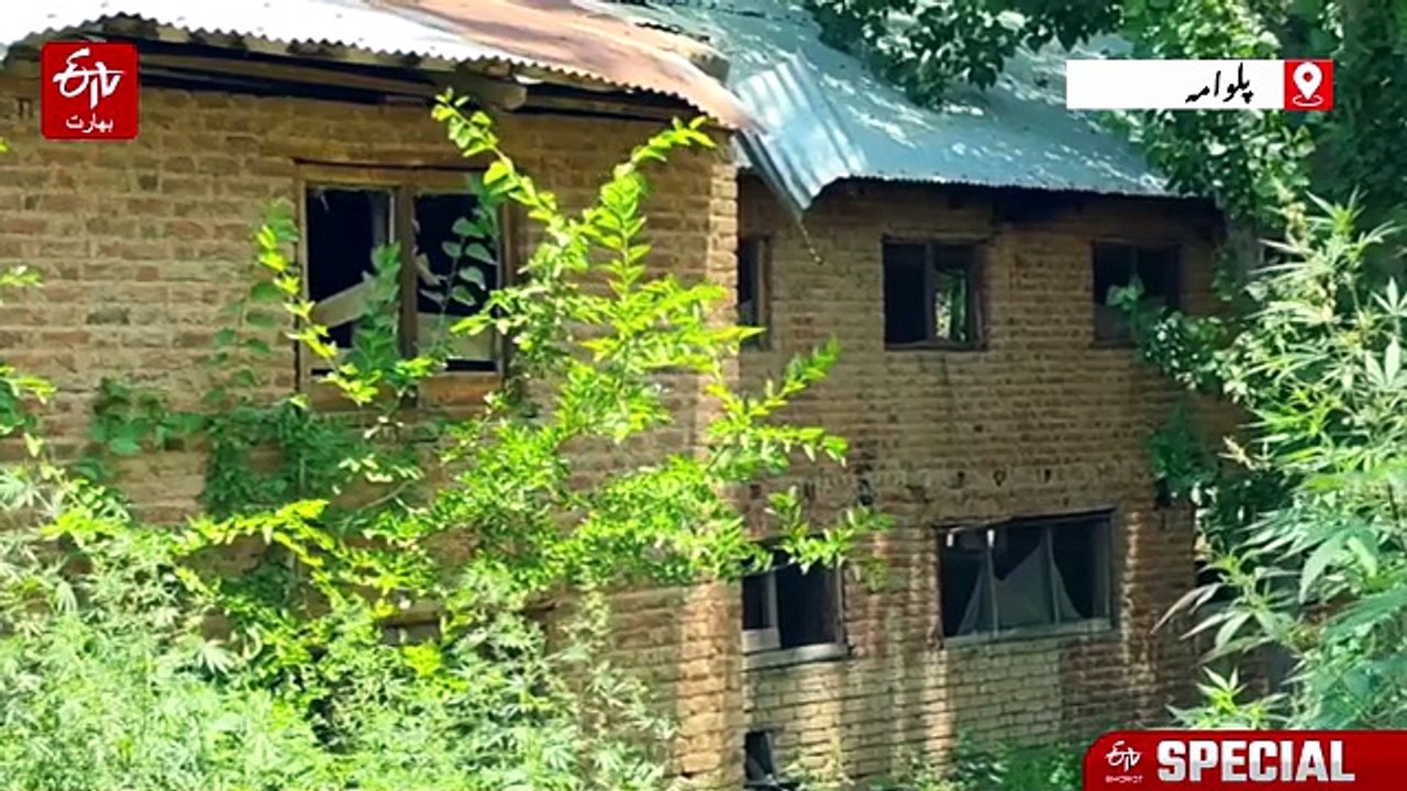 مالی امداد اور سرکاری تعاون سے  پولٹری فارمنگ کا شعبہ دوبارہ ترقی کی راہ پر