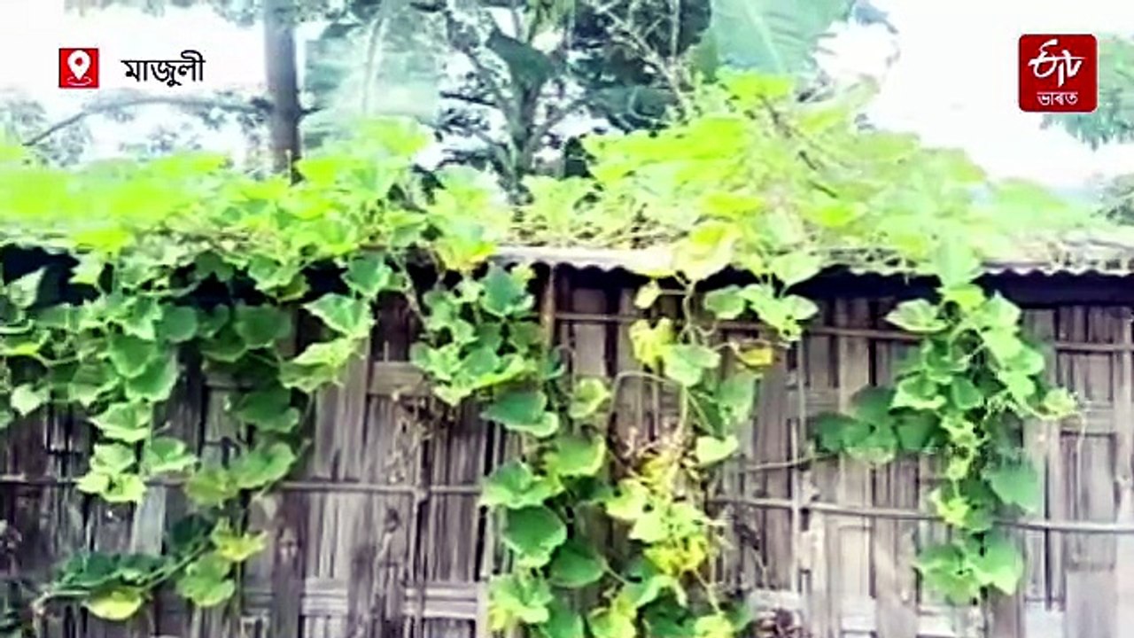 হাঁহৰ গঁড়ালসদৃশ জুপুৰীত জীৱনৰ বিয়লি বেলা কটাইছে আইতাই