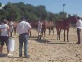 concours modèles et allures Rodez 21 juin 2008