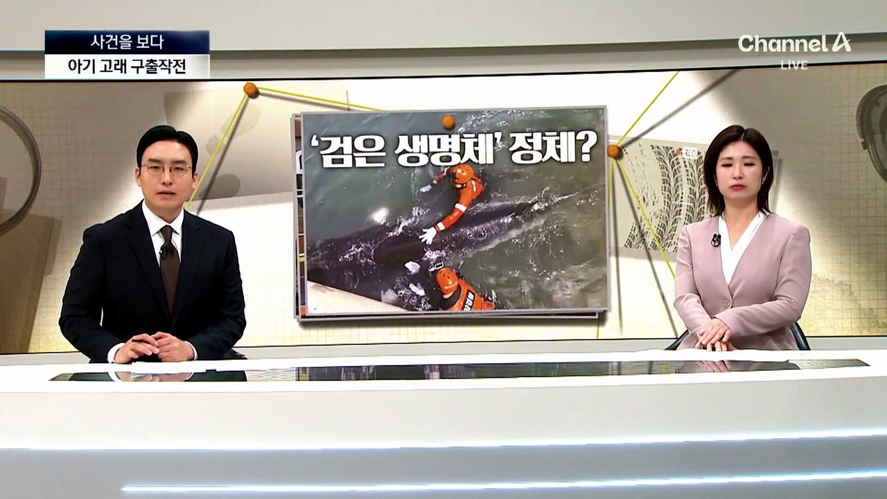 [사건을 보다]삼단봉으로 ‘퍽퍽’…의식 잃은 운전자 살렸다