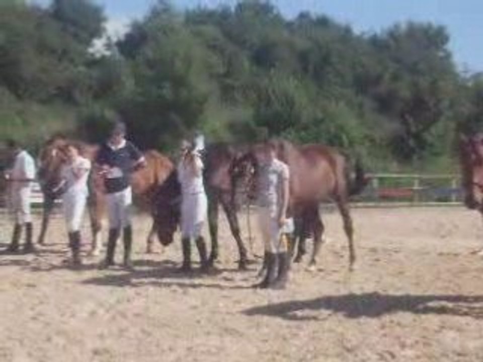 Concours modèles et allures Rodez 21-06-08 - Mot de la fin