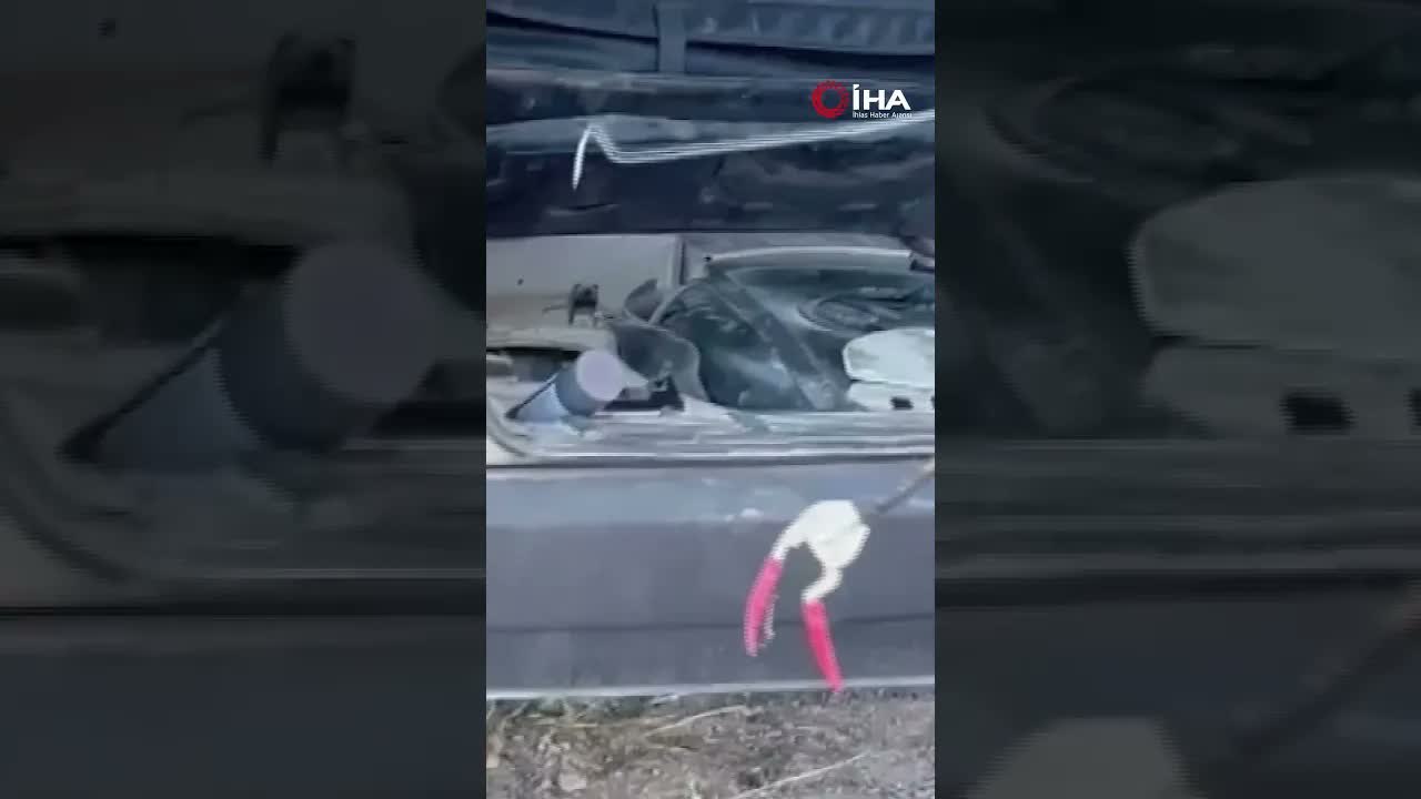 Park halindeki otomobile giren yılan paniğe neden oldu