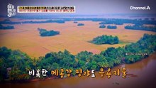 위기를 기회로 바꾼다! 도이머이 정책으로 경제 발전 성공한 베트남