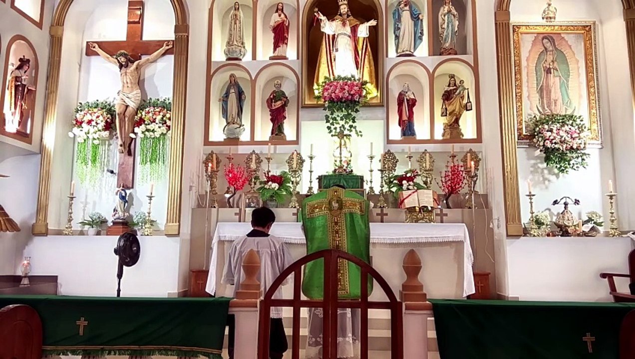 SANTA MISA DEL 5º DOMINGO DESPUÉS DE PENTECOSTÉS