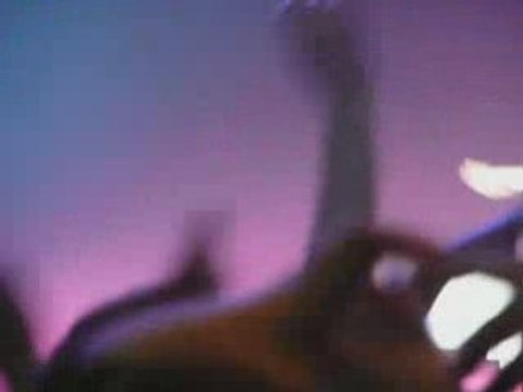 Forest National - 21.06.08 - Jonas Brothers - Drapeau belge