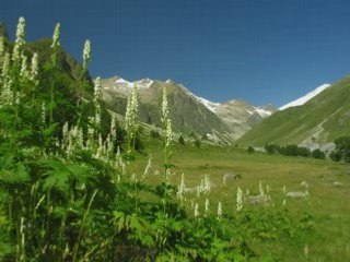 горные пейзажи с музыкой