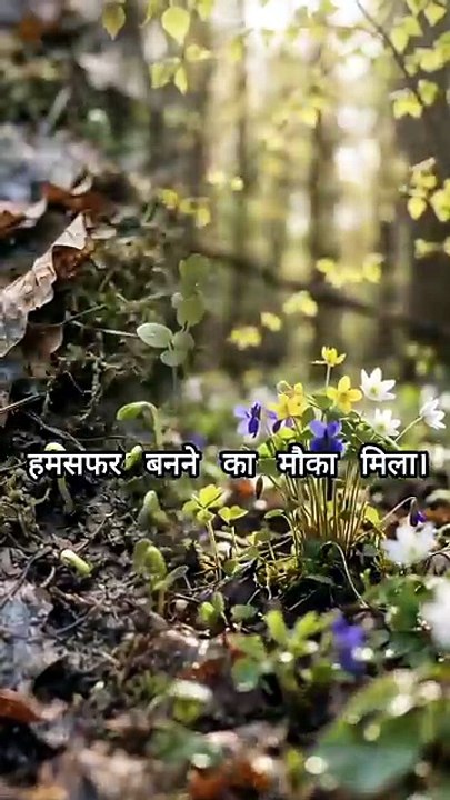 Zindagi ka safar