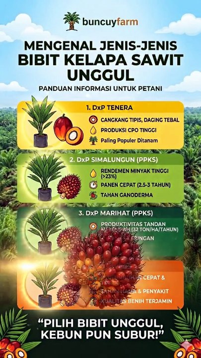 Pilih Bibit Unggul, Kebun Pun Subur!