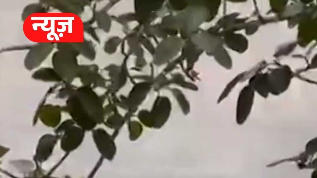 Weather Update: उत्तर भारत में मौसम का यू-टर्न,...