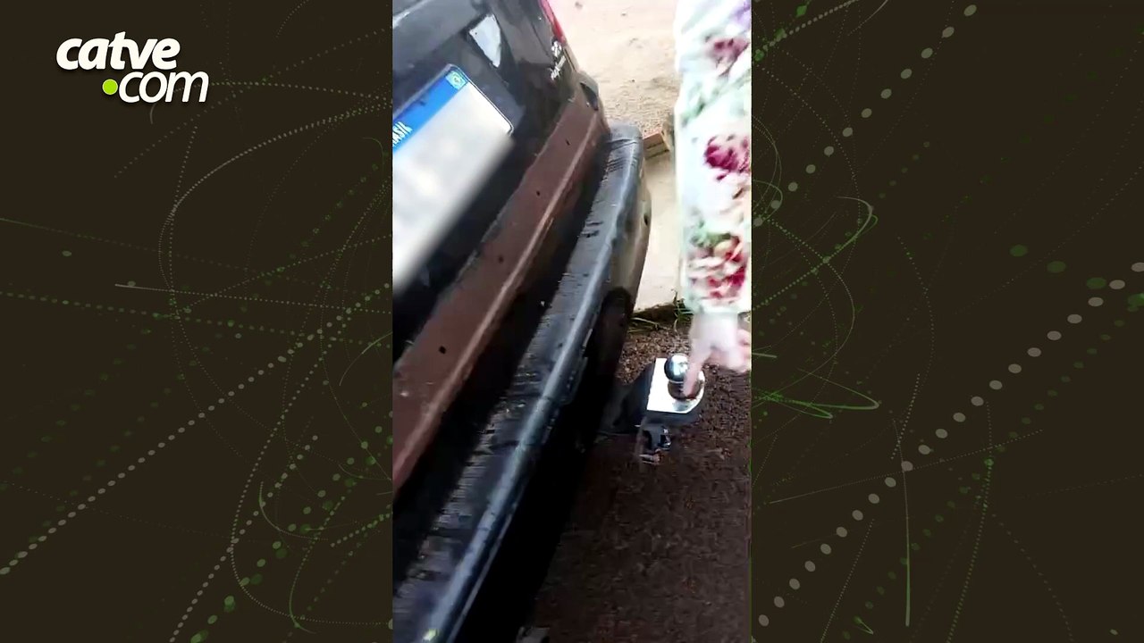Antes de ser encontrada embaixo de varal de roupas, onça invadiu outra casa em Foz do Iguaçu