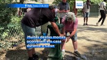 Notícias do dia | 28 de junho 2026 - Noite