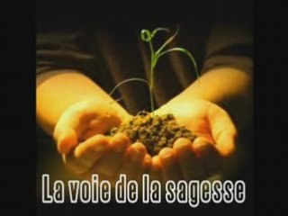 La voie de la sagesse de cheick uthaymeen