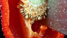 Bell Peppers Opened in Slow Motion | Satisfying ASMR Food Reveal 🌶️✨