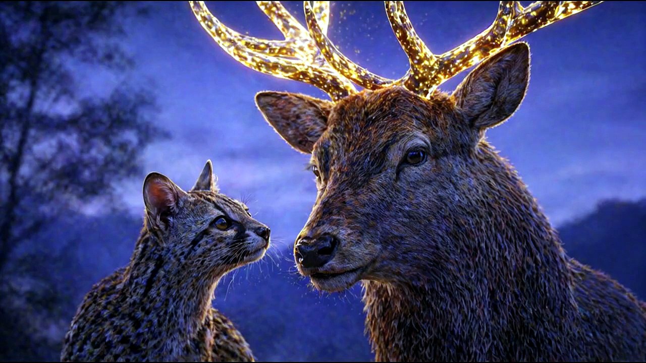 Lecture - La genette et le cerf des brumes