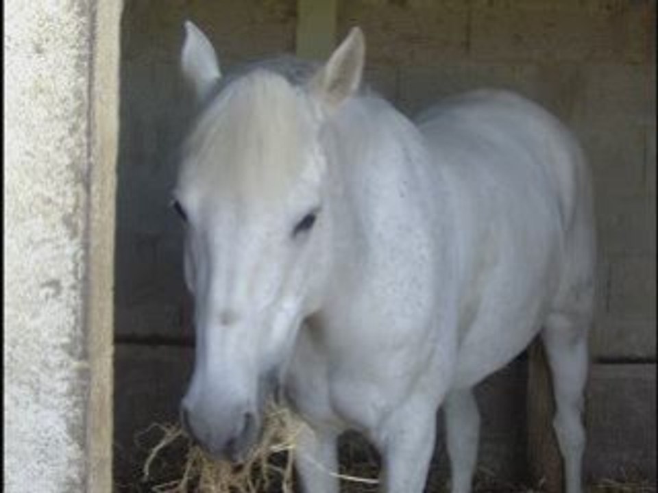 Isabeau