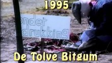 1995 De Tolve Bitgum Strjitfersiering