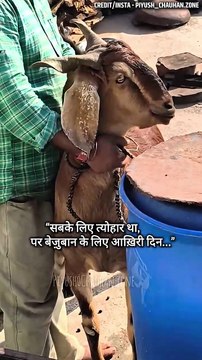 पशु क्रूरता || आचार्य प्रशांत