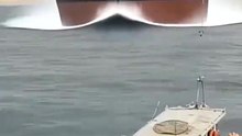 1000011216