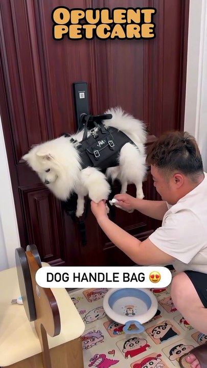 Small Dog Carrier Bag | Water-Resistant Crossbody Handbag