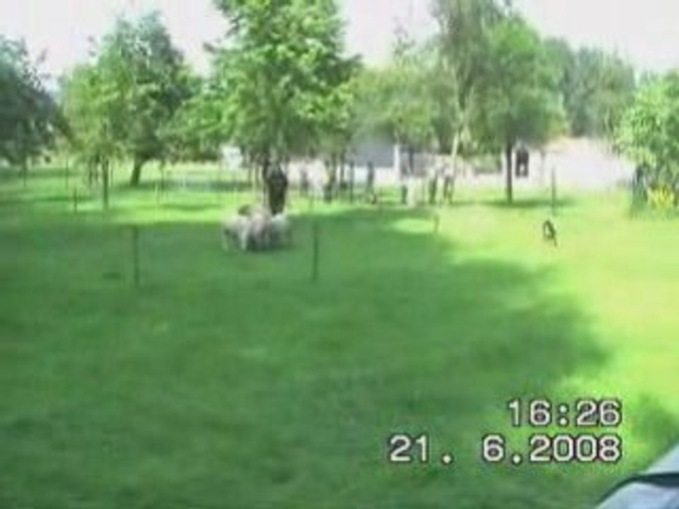 Rencontre à Doische