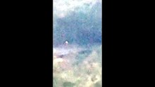 UFO videos released by the Pentagon in 12/06/2026