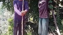 Comedy funny video viral