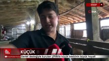 Devlet desteğiyle kurulan çiftlikte küçük besicinin büyük hayali