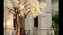 Split Won Family Love (Part 1)