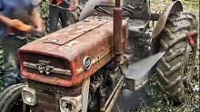 An abonded massey Ferguson 135 tractors restoration