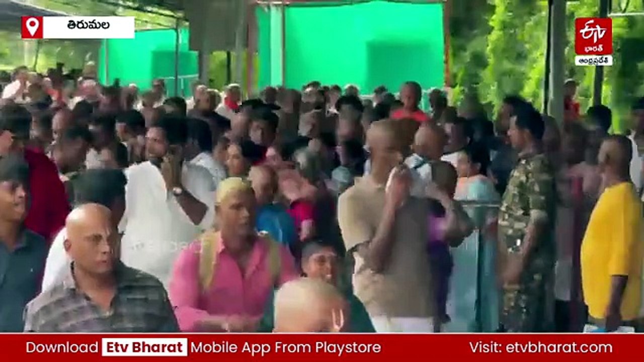 భక్తులతో కిటకిటలాడుతున్న తిరుమల - సర్వ దర్శనానికి 24 గంటల సమయం