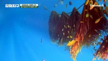 "형 어떻게 했어요?" 충원과 종현의 낚시 대결 승자는?!