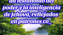 La creación