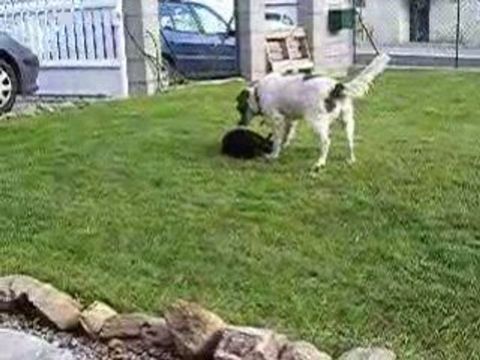 DSCN2153